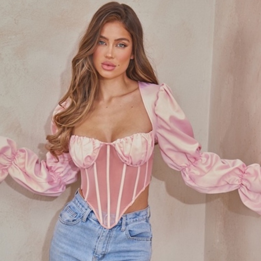 Pink Mesh Corset Long Sleeve Satin Crop Top - NWT